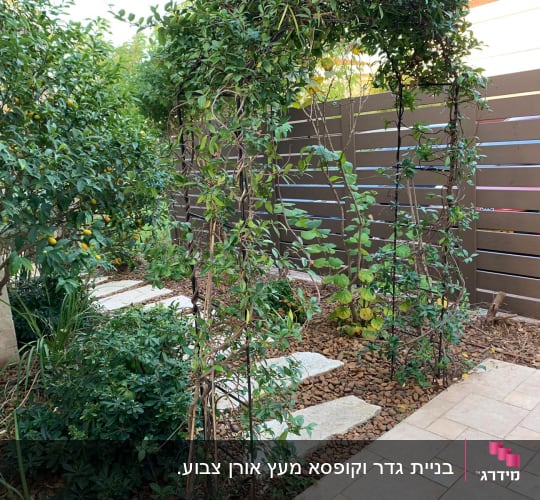 שביל אבנים בגינה עם צמחים מטפסים וגדר עץ